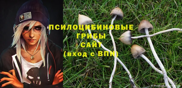 не бодяженный Нефтегорск